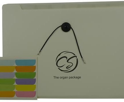 Brainware 8 Compartment Expanding File Organiser White