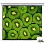 Esquire Electric Projector Screen 300 X 169